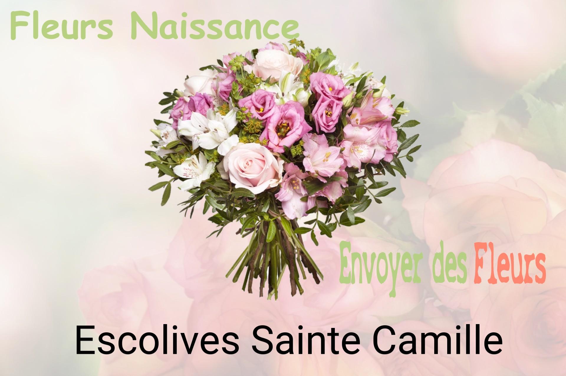 Bouquet de fleurs de naissance livré à Escolives-Sainte-Camille